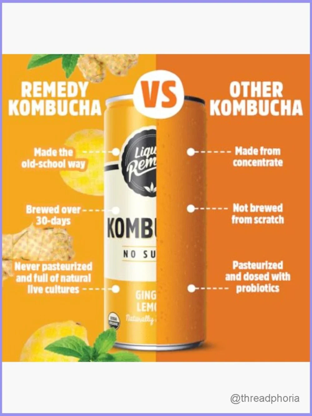 Sugar Free Kombucha Variety Pack - 24 Cans, Gut Health